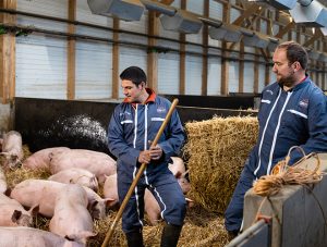 Sociétés-civiles-agricoles-Cerfrance-DP