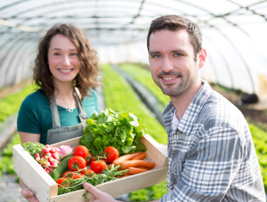 Article-Cerfrance-DP-MSA-Conjoint-Collaborateur-Agriculture