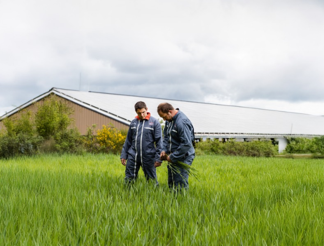 Plus-Values-Agriculture-Cerfrance-DP