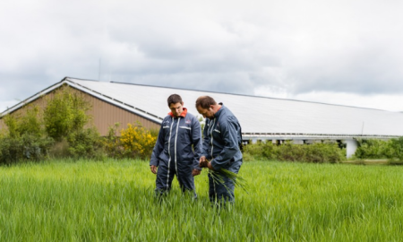 Plus-Values-Agriculture-Cerfrance-DP